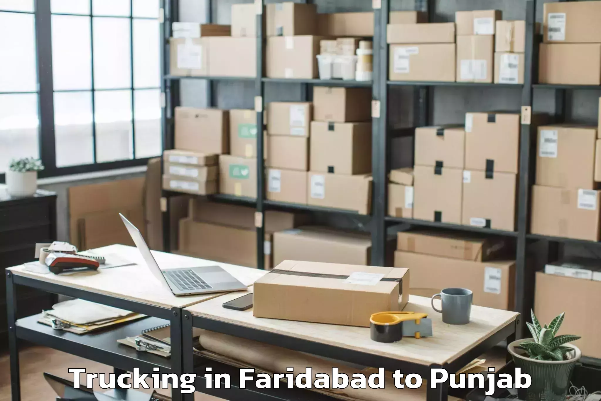 Top Faridabad to Ansal Plaza Mall Ludhiana Trucking Available